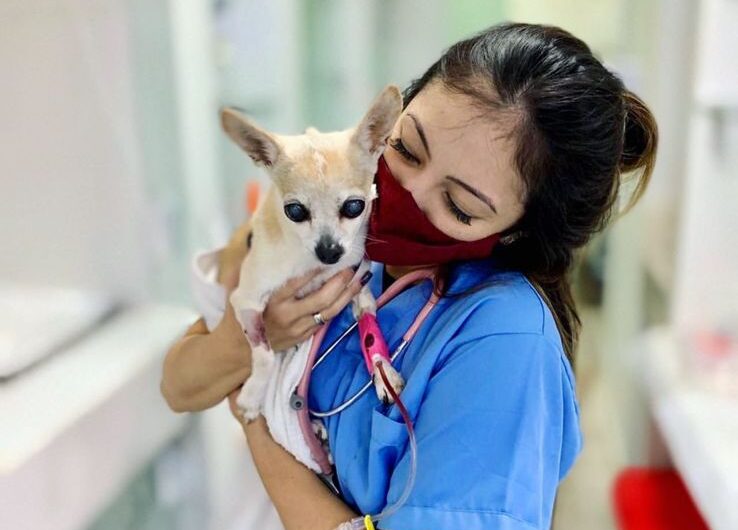 Dra. Monise Rodrigues Yokoyama