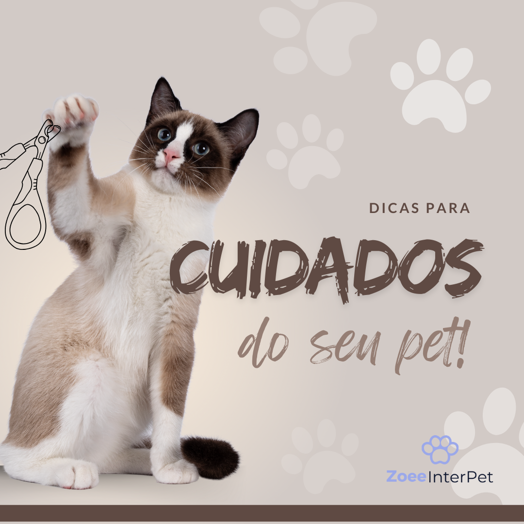 Cuidados Básicos com a Higiene Animal: Banho, Escovação, Corte de Unhas e Limpeza dos Ouvidos